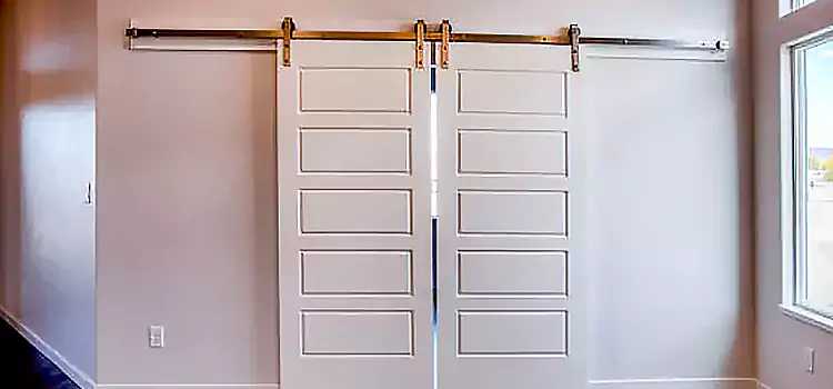 Glass Barn Door with Installation Hardware Kit Riverside