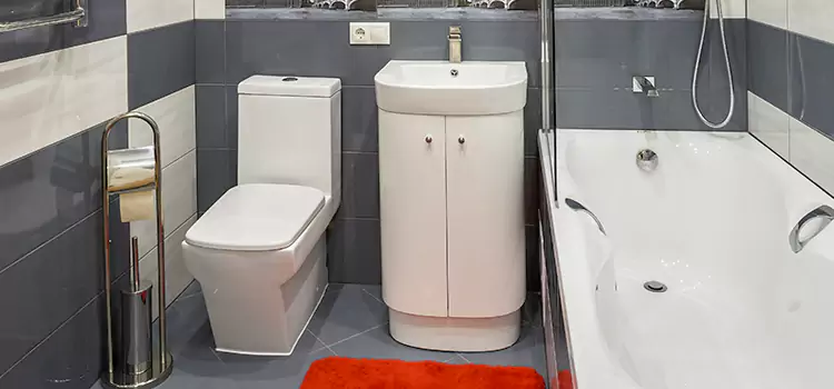 Hansgrohe Shaving Mirror Riverside